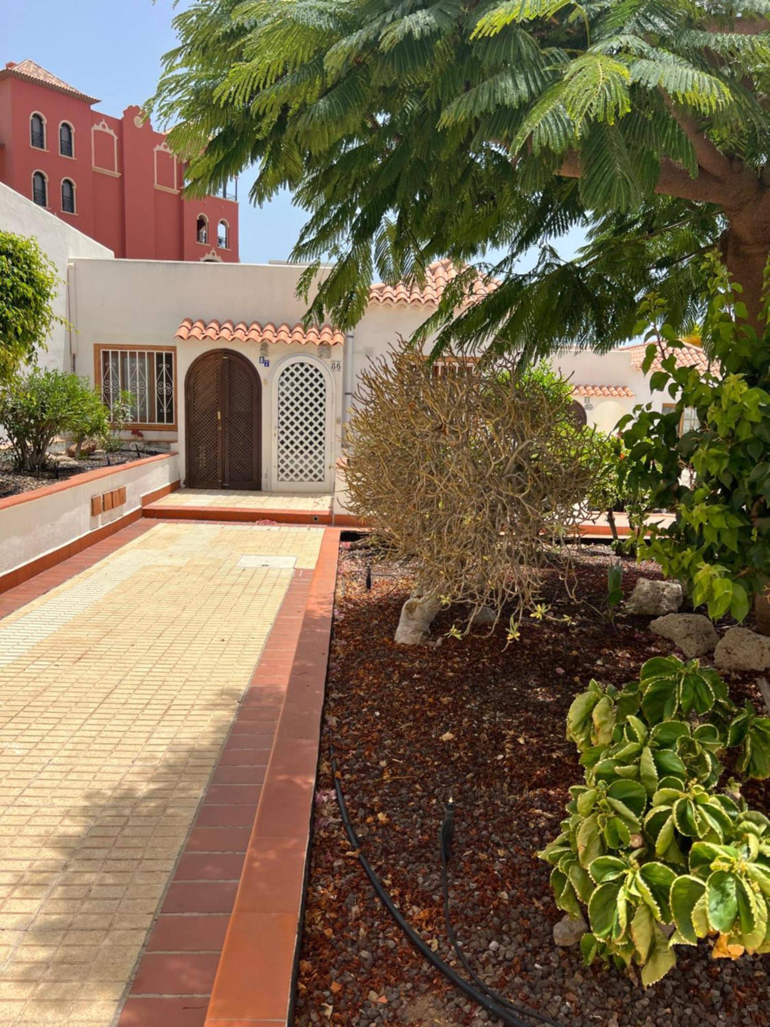 Cactus'S House, 150 M Beach, 1 Bdr, 4 Guests, Wifi, Netflix, Costa Adeje  Exteriör bild